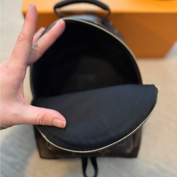 Louis Vuitton Palm Springs Mini - Picture 7 of 15